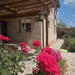 Sidef Mamaia Nord Se Inchiriaza Integral Нэводари