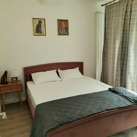 Villa Sidef Mamaia Nord Se Inchiriaza Integral Navodari